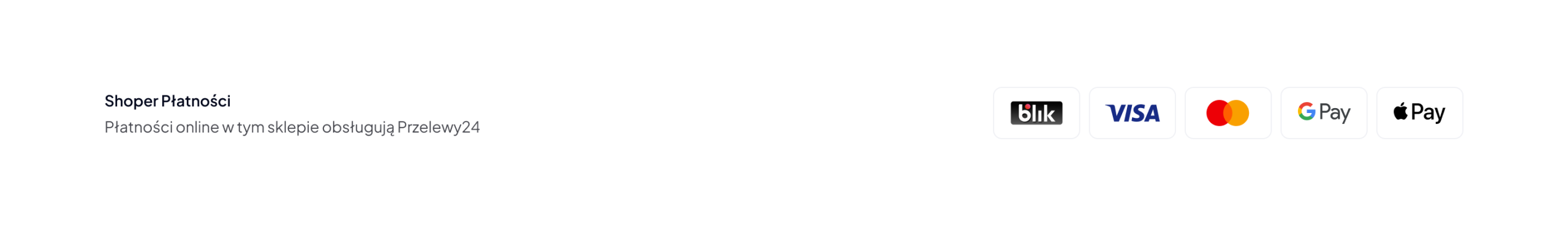 obraz przedstawia dostępne formy płatności przez bramkę płatności Przelewy24